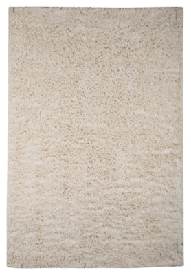 Ashley Signature Design Alonso 5' x 7' Rug Ivory R400502